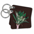 3dRose Key Chains Cactus (kc-239348-1)