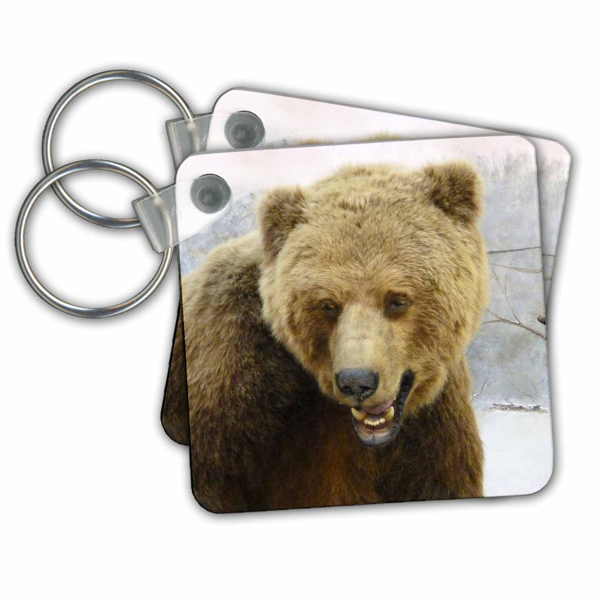 Key Chain - Big Brown Bear Nature and Animals