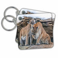 Key Chain - Mountain Lions Grooming Photography Animal