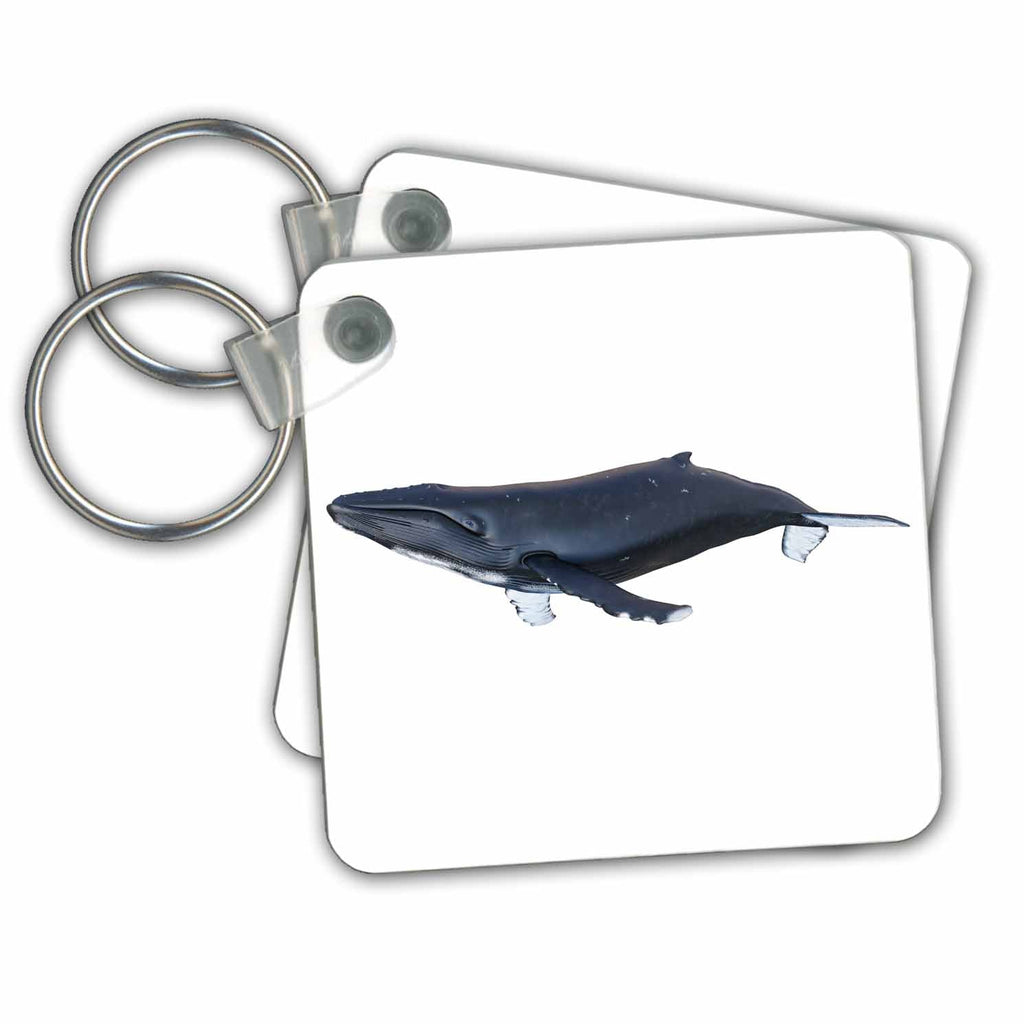 3dRose Key Chains A Humpback Whale In Profile (kc-239385-1)