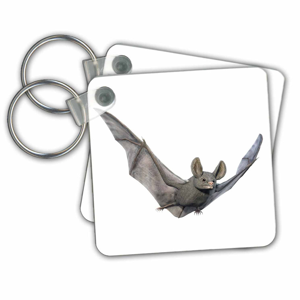 3dRose Key Chains Bat from the Front with Wings Up (kc-239802-1)