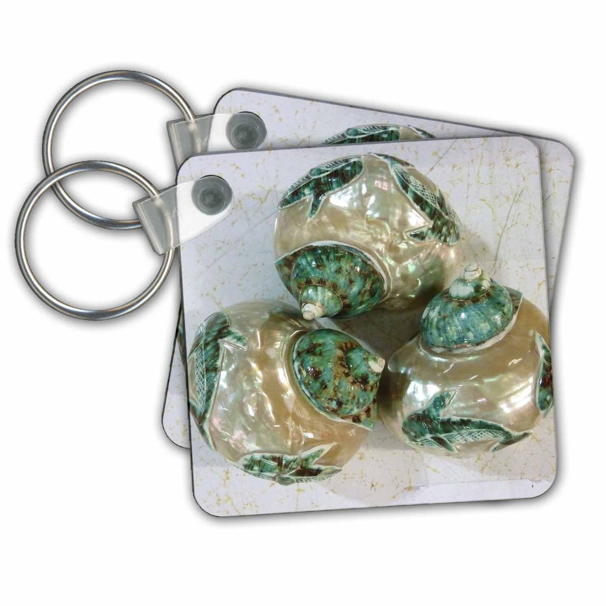 3dRose Key Chains Pearlized Sea Shells (kc-23992-1)