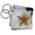Key Chain - Starfish On Sponge Shells