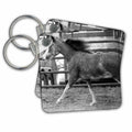 Key Chain - Black and White Pinto Mini Horse Mini Horses