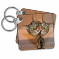 Key Chain - Double Funny and Cute Cat Animal Cat