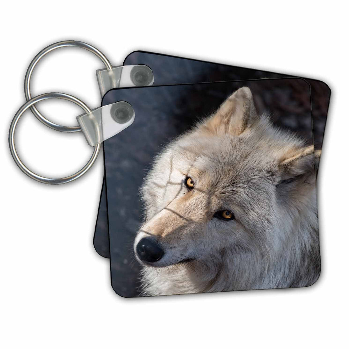 Key Chain - Rocky Mountain grey wolf Photography