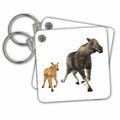 Key Chain - A Moose Mother and Small Child Graphics Animal