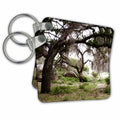 Key Chain - Old tree in the rain Designs - Nature