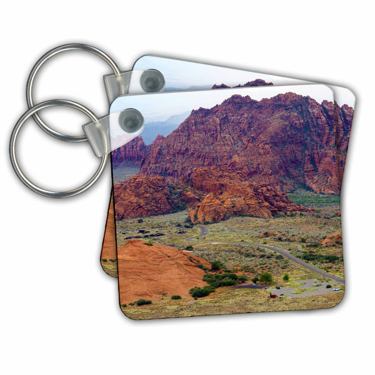Key Chain - Looking toward the sky two palm trees in St George Utah Palm Trees