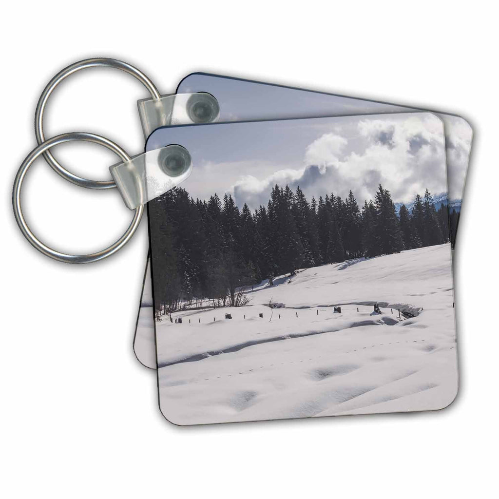 3dRose Key Chains Trail in the Snow in Mountains (kc-253411-1)