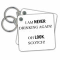 Key Chain - I am never drinking again Oh look, scotch Sayings