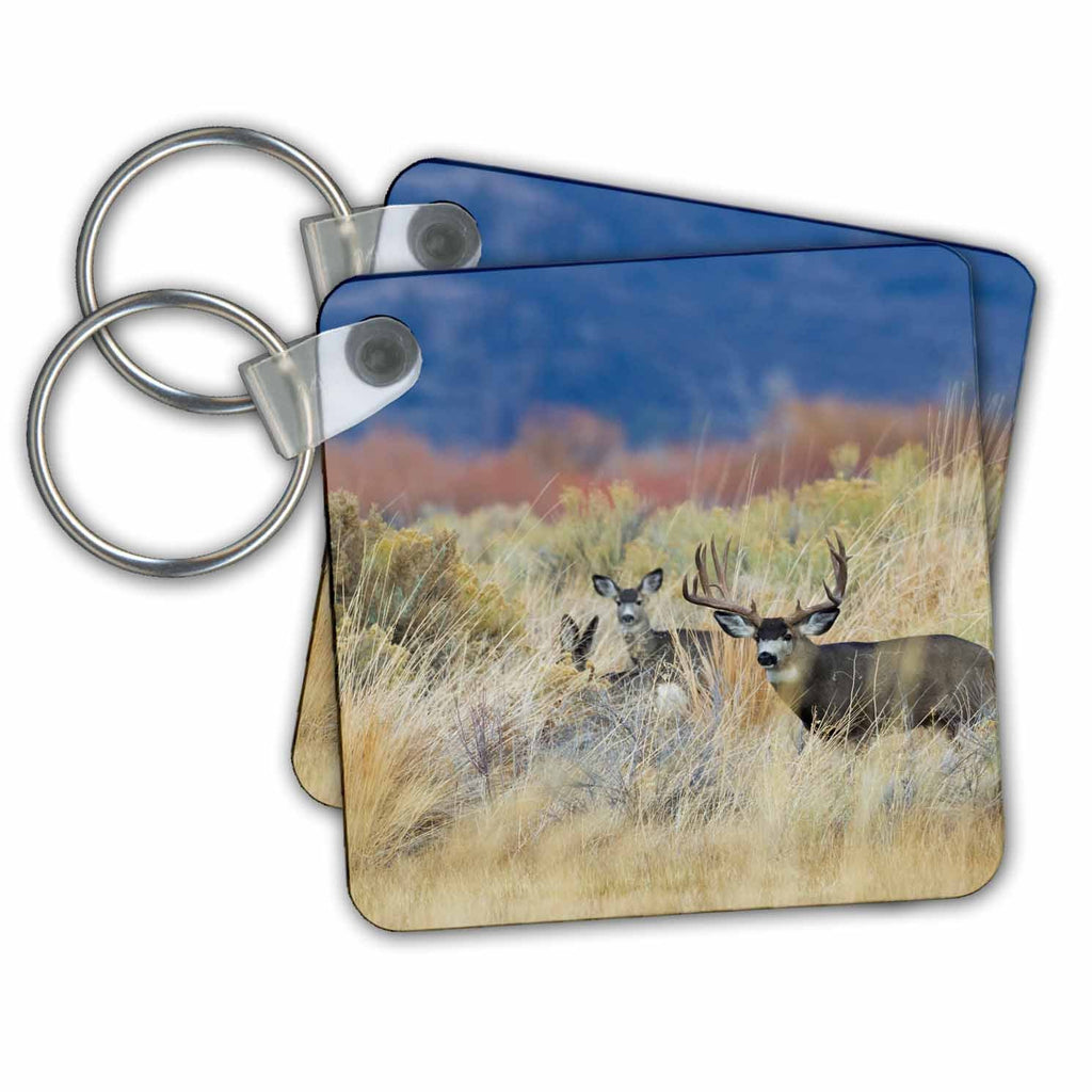 3dRose Key Chains Mule Deer Buck with Does (kc-258042-1)