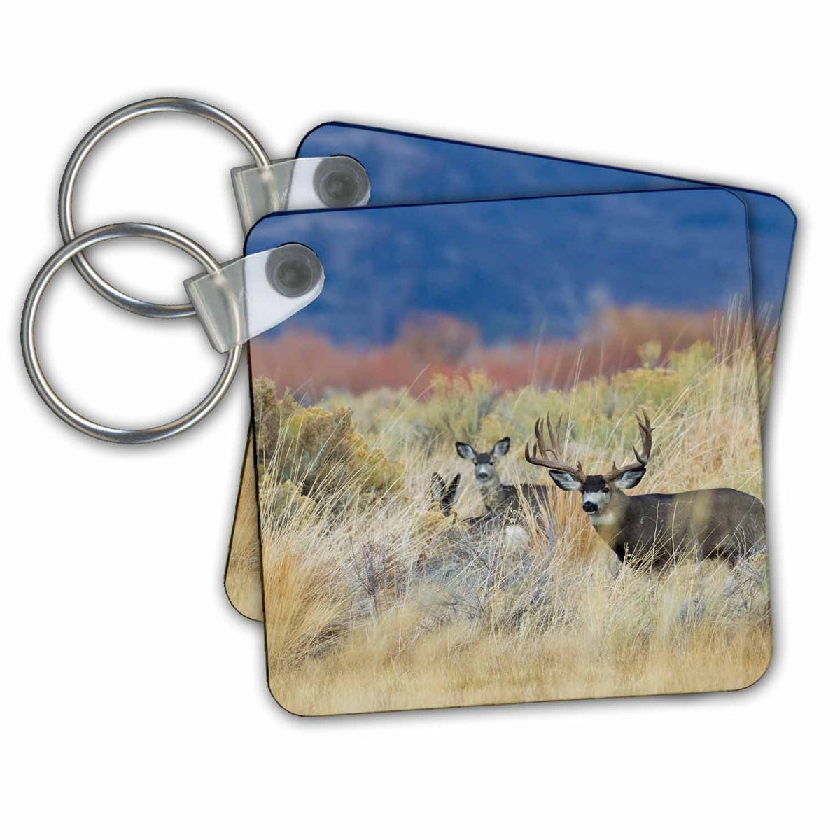 3dRose Key Chains Mule Deer Buck with Does (kc-258042-1)