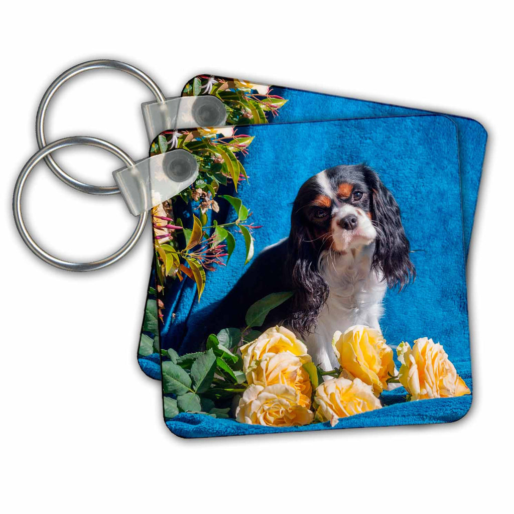 3dRose Key Chains Cavalier posing with roses, MR (kc-258231-1)