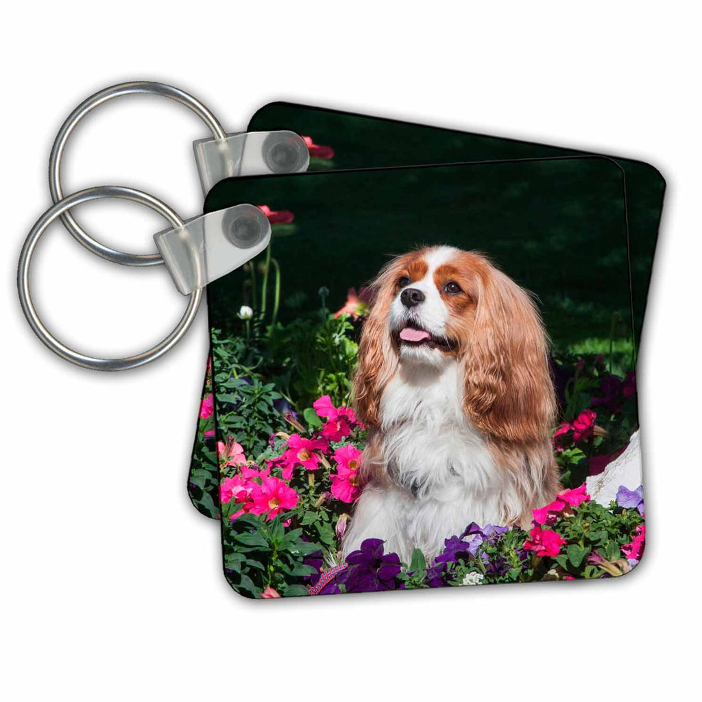 3dRose Key Chains Cavalier sitting in a flowerbed, MR (kc-258240-1)