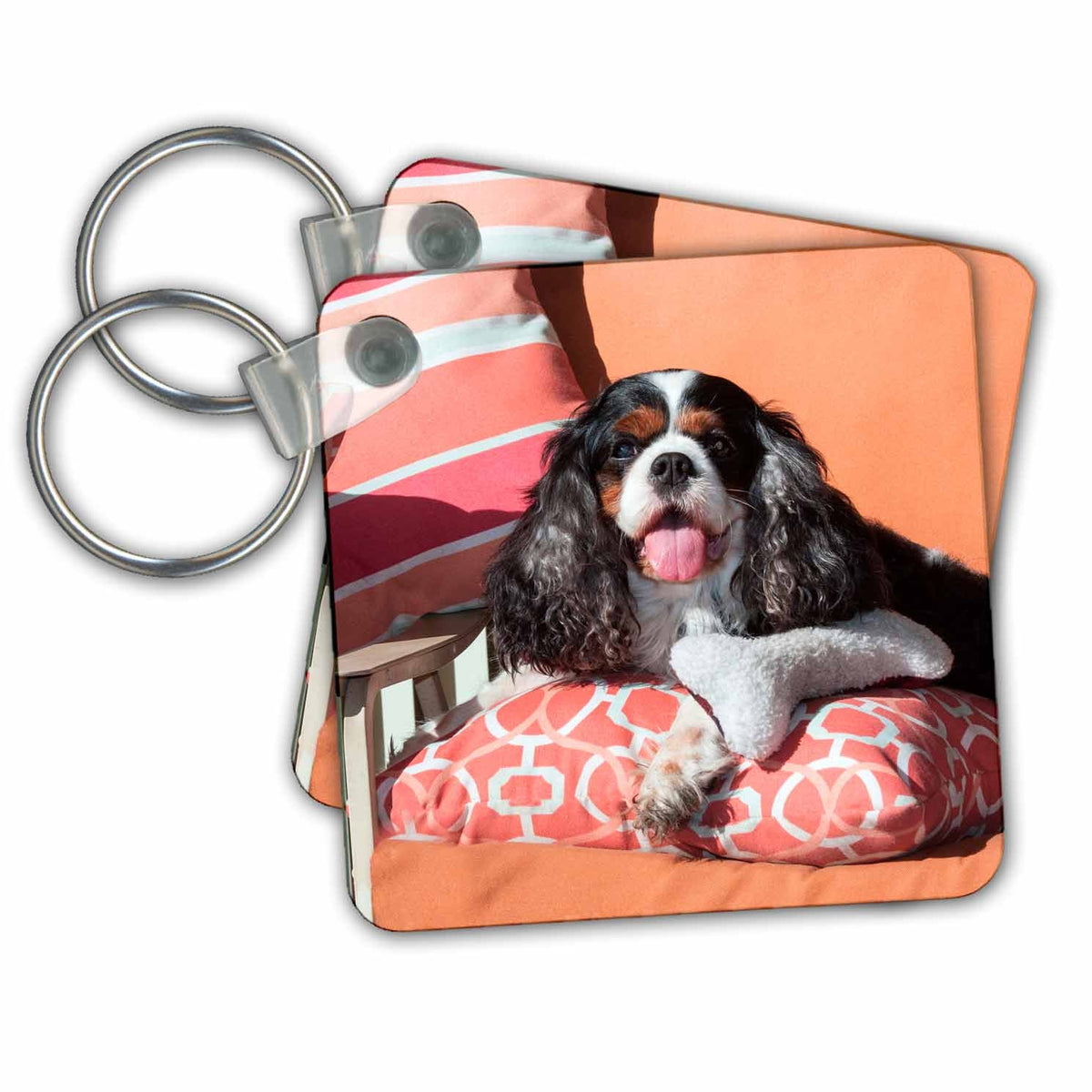 3dRose Key Chains Cavalier lying on pillows, MR (kc-258241-1)
