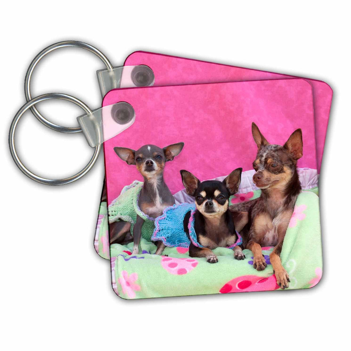 3dRose Key Chains Chihuahuas dressed in cute dresses (kc-258268-1)