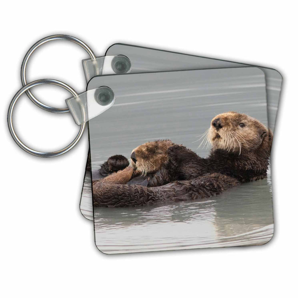 3dRose Key Chains Sea Otters, Mother with pup (kc-258660-1)