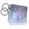 Key Chain - Snowfall in a winter forest Alexis Photography - Christmas