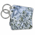 Key Chain - Cherry trees in full bloom Alexis Photography - Flowers