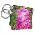 Key Chain - Pink Roses with accented edges done digitally Accented Edges Floral