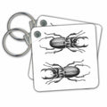 Key Chain - Retro bug drawing black and white Animals Illustration