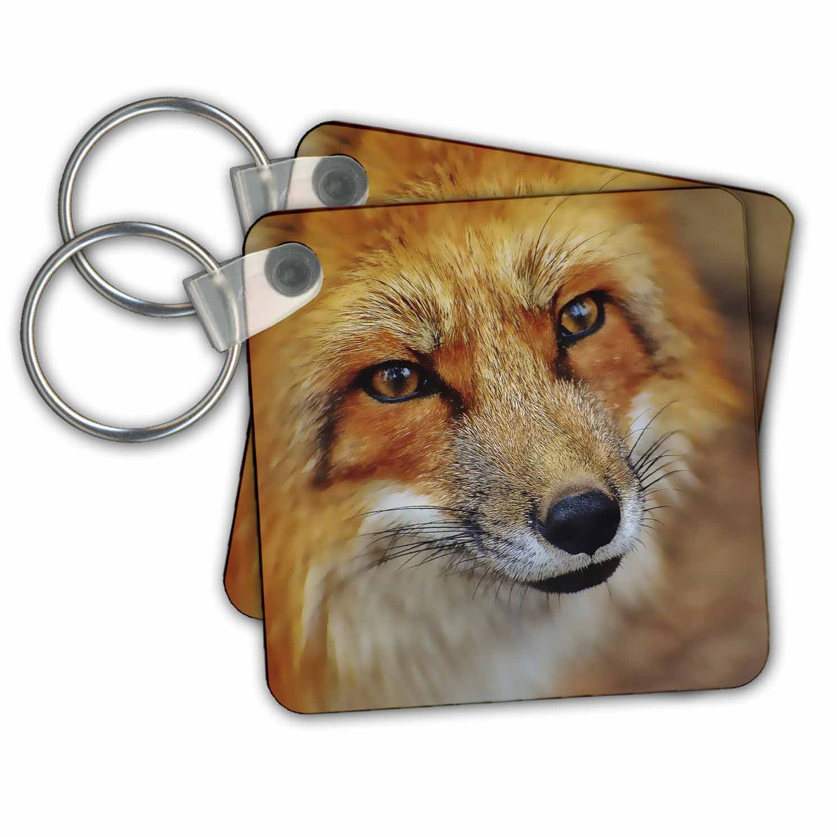 Key Chain - Cute Fox Face Close Up Photo Animals Photo