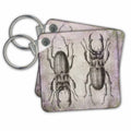 Key Chain - Vintage Beetle Mixed Media Art Animals Illustration