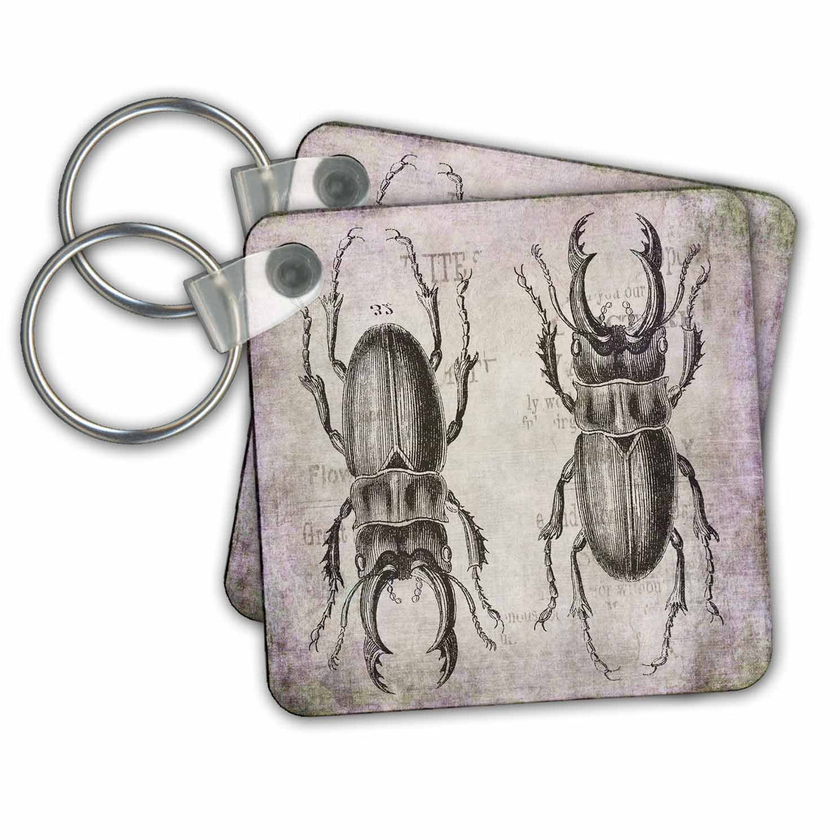 Key Chain - Vintage Beetle Mixed Media Art Animals Illustration