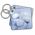 Key Chain - Illustration With Sea Shells And Typography Art Illustration