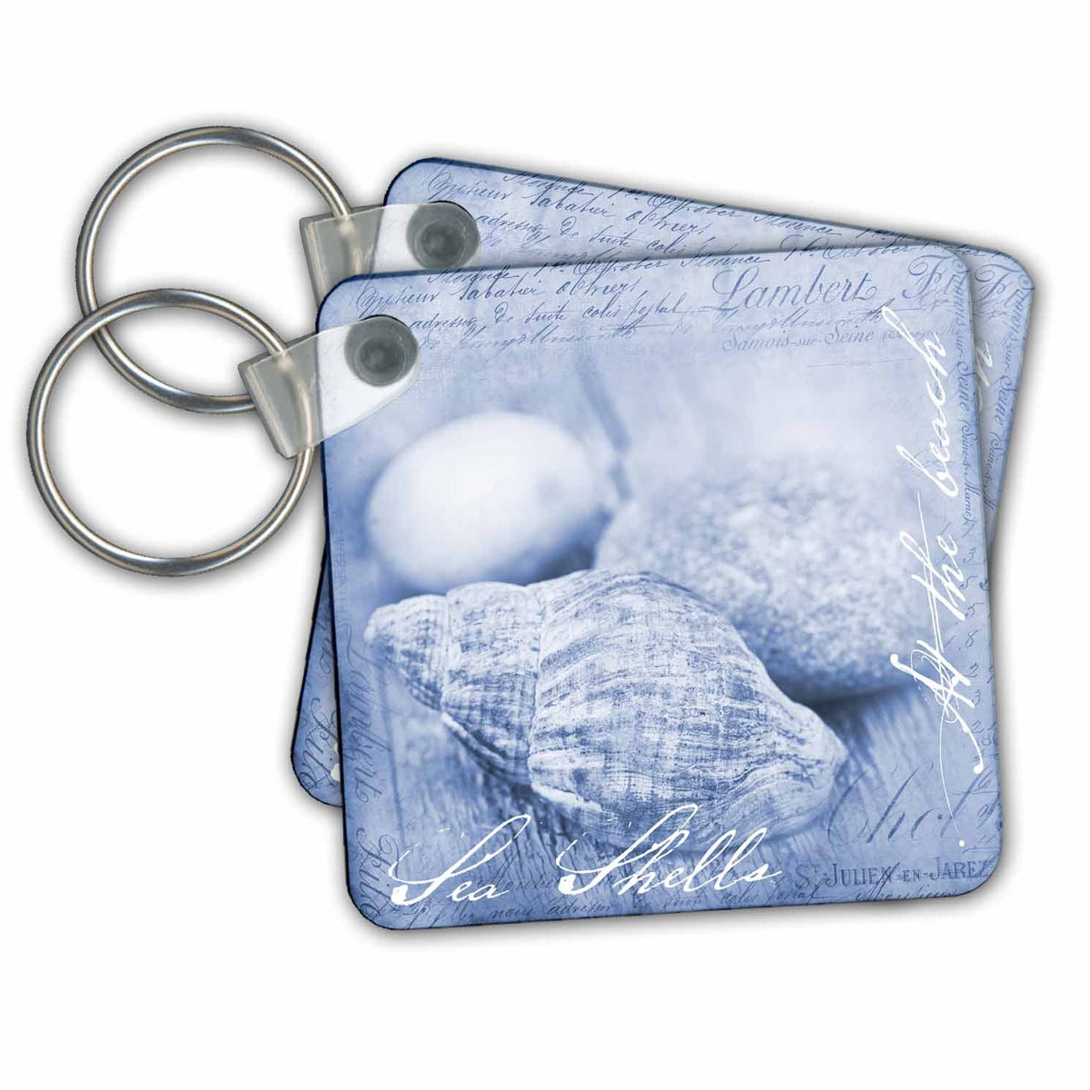 Key Chain - Illustration With Sea Shells And Typography Art Illustration