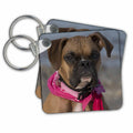 Key Chain - Boxer Photography