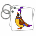 Key Chain - Funny Cool Colorful Quail Bird Cartoon Birds