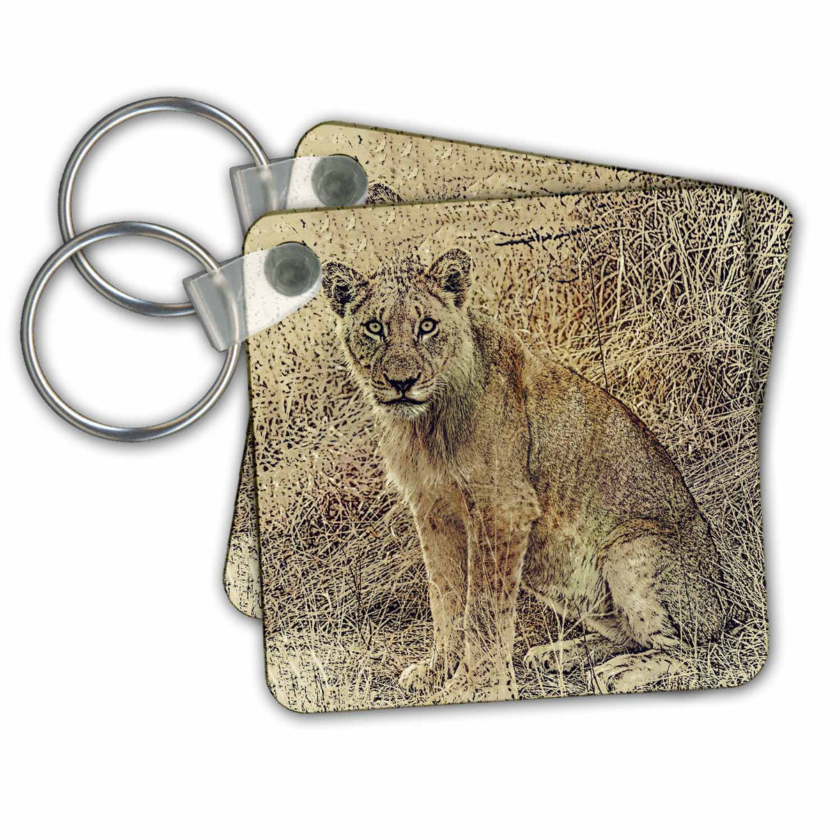 Key Chain - African Lion Illustration Animals Illustration