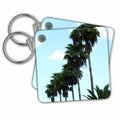 Key Chain - Row Of Palms Tropic Landscape