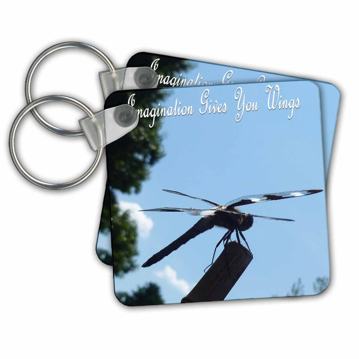 Key Chain - Dragonfly Inspires Imagination Dragonflies