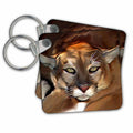 3dRose Key Chains Cougar (kc-3346-1)