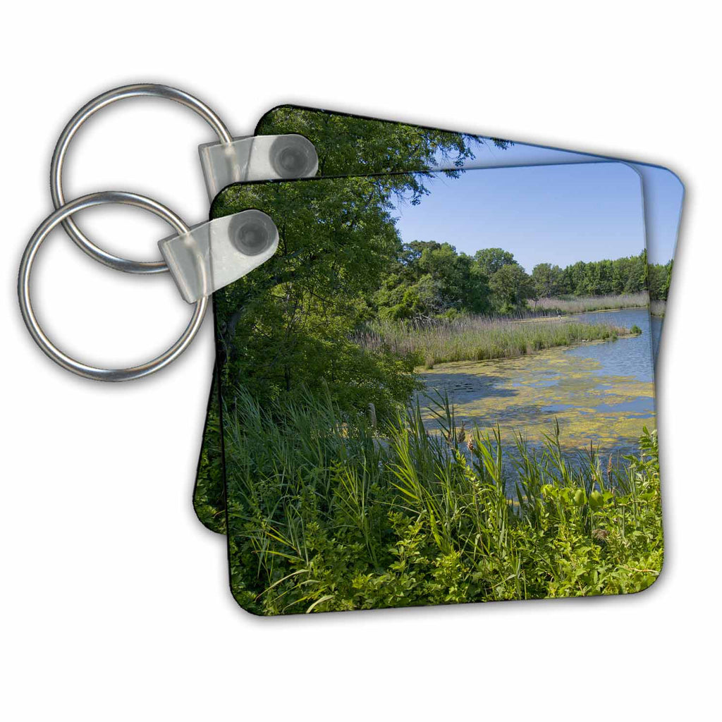 3dRose Key Chains Chesapeake Bay Wetlands (kc-34464-1)