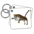 3dRose Key Chains Leopard (kc-34491-1)