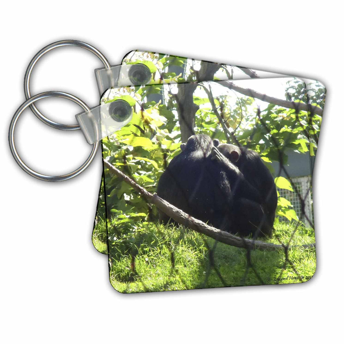 3dRose Key Chains Chimpanzees (kc-34515-1)