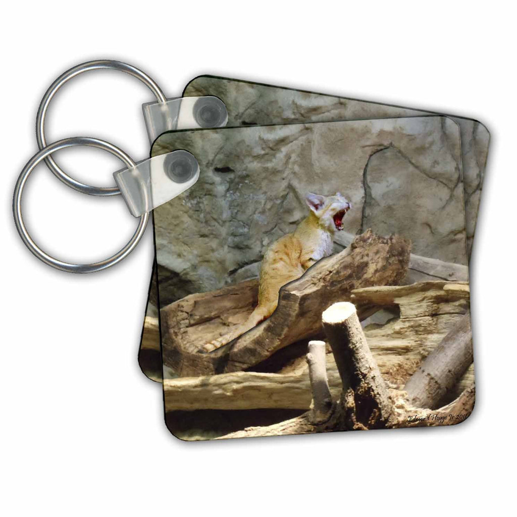 3dRose Key Chains Screaming Sandcat (kc-34526-1)
