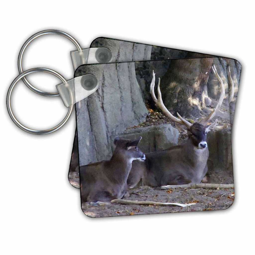 3dRose Key Chains Long Horn Deer (kc-34530-1)