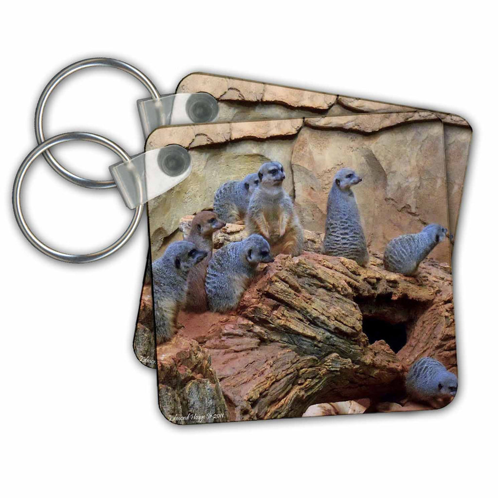 3dRose Key Chains Meerkats (kc-34537-1)