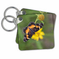 Key Chains Bordered Patch nectaring. (kc-347670-1)