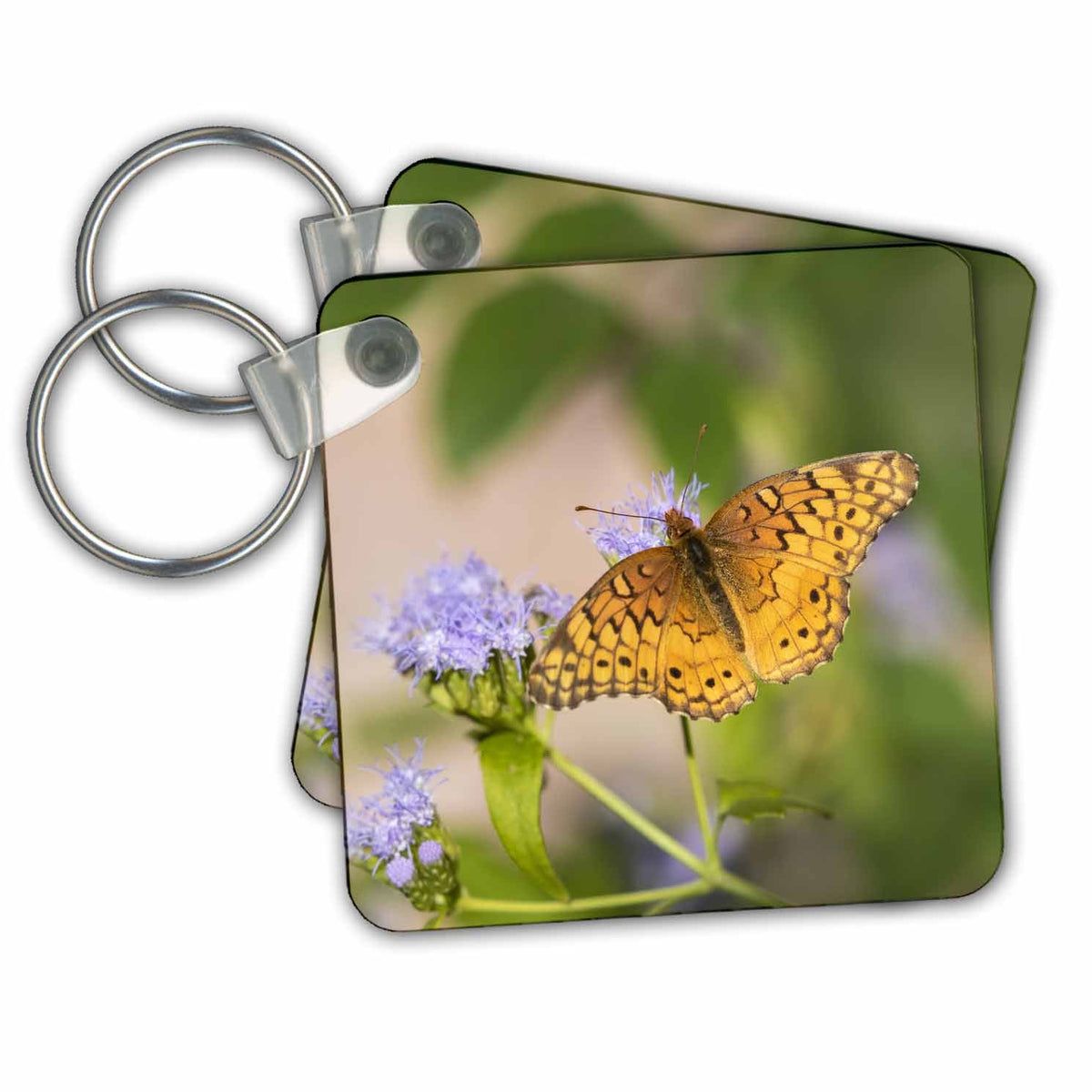 3dRose Key Chains Mexican Fritillary feeding. (kc-347671-1)