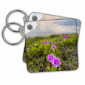 3dRose Key Chains Beach morning glory in bloom. (kc-347676-1)