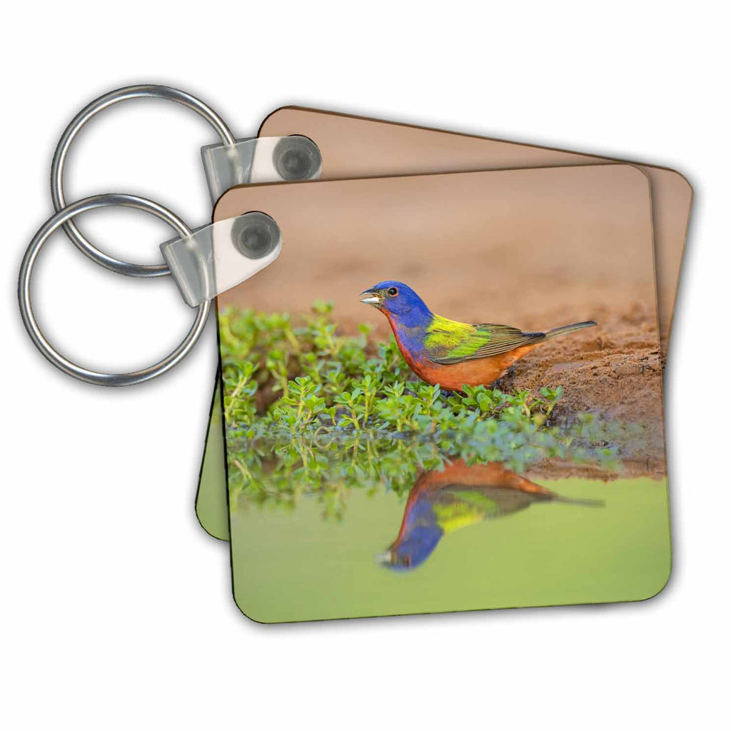 3dRose Key Chains Painted Bunting drinking (kc-347690-1)