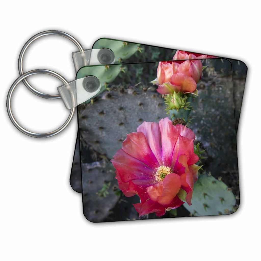 3dRose Key Chains Prickly Pear Cactus blooming. (kc-347691-1)