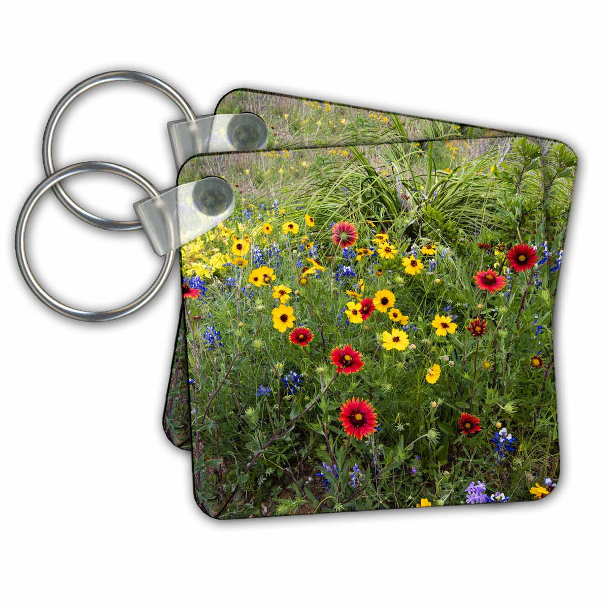 3dRose Key Chains Wildflowers including Slender Greenthread and Firewheel (kc-347692-1)