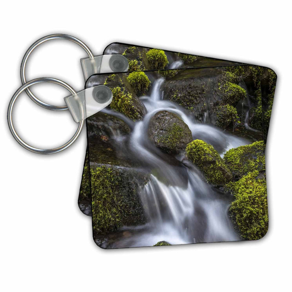 3dRose Key Chains Washington State, Olympic N.P. Cedar Creek scenic (kc-347743-1)